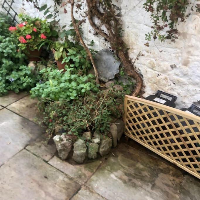 Lyme Clifftop Hideaway Lyme Regis Esterno foto